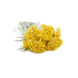 Pavrika 50 gr Altın Otu