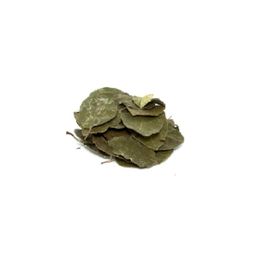 Pavrika 50 gr Avakado Yaprağı