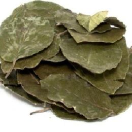 Pavrika 50 gr Avakado Yaprağı