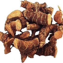 Pavrika 50 gr Kök Havlıcan