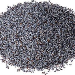 Pavrika 50 gr Mavi Haşhaş