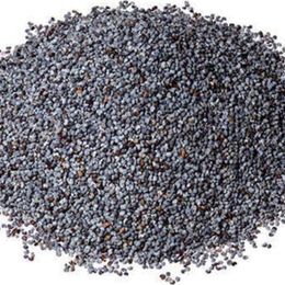Pavrika 50 gr Mavi Haşhaş