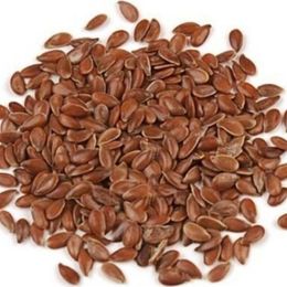 Pavrika 50 gr Maydanoz Tohumu