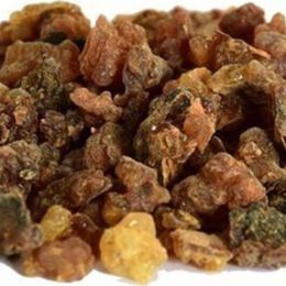 Pavrika 50 gr Mürsafi