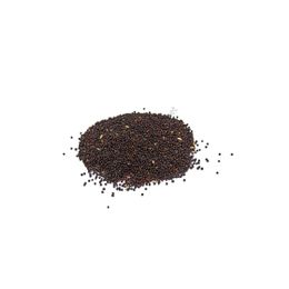 Pavrika 50 gr Şalgam Tohumu