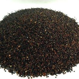 Pavrika 50 gr Siyah Hardal Tohumu