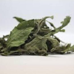 Pavrika 50 gr Stevia