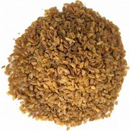 Pavrika 500 gr Siyez Bulguru