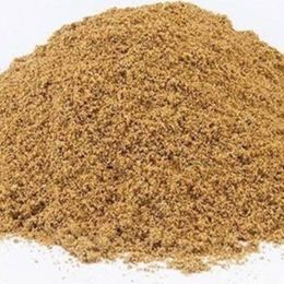 Pavrika 500 gr Toz Kişniş
