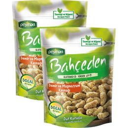 Peyman Bahçeden 2 x 100 gr Dut Kurusu