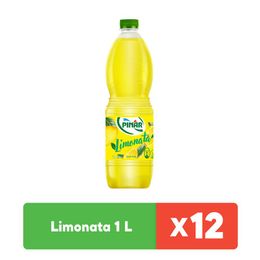 Pınar 1x12 lt Limonata