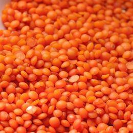 Pırlanta 25 kg Futbol Kırmızı Mercimek
