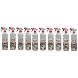 Prosel 10x1 lt Proclean Doğal Çok Amaçlı Temizleyici