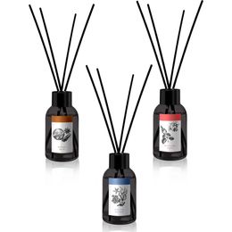 Prova 3x100 ml Amber Dark + Marine Waves + Oriental Light Bambu Çubuklu Oda Kokusu