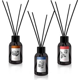 Prova 3x100 ml Amber Dark + Marine Waves + Oriental Light Bambu Çubuklu Oda Kokusu