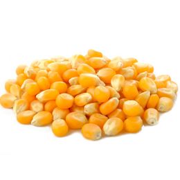 Qavruq 1 kg Cin Mısırı