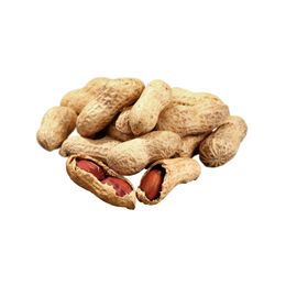 Qavruq 1 kg Kabuklu Yer Fıstığı