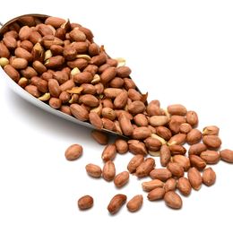 Qavruq 1 kg Tuzsuz Jumbo Fıstık