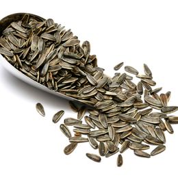 Qavruq 1 kg Tuzsuz Siyah Çekirdek
