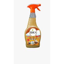 Rasus 750 ml Parfümlü Cam Sil Ahşap ve Mobilya Parlatıcı