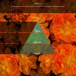 Rulopak 100 ml Cosmic M7 Labella Koku Kartuşu
