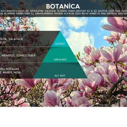 Rulopak 200 ml M7 Botanica Koku Kartuşu