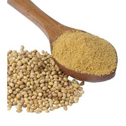 Sadıcım 1 kg Tane Kişniş