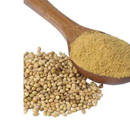 Sadıcım 1 kg Toz Kişniş
