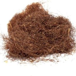 Sakız Ağacı 100 gr Mısır Püskülü