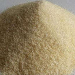 Sakız Ağacı 100 gr Toz Sığır Jelatini