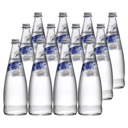San Benedetto 750 ml Gazlı Doğal Minerelli Su