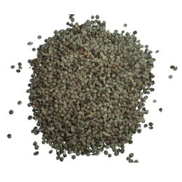 Sanita 1 kg Hayıt Tohumu