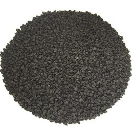 Sanita 1 kg Pırasa Tohumu