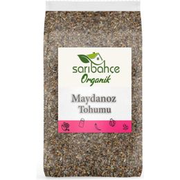 Sarıbahçe 1 kg Maydanoz Tohumu