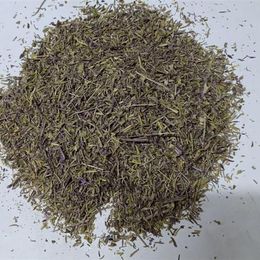 Sarıbahçe 500 gr Kekik Zahter