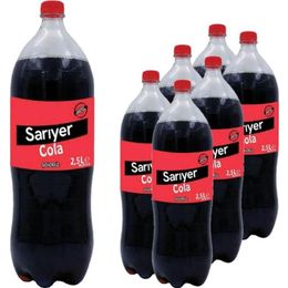 Sarıyer 2,5 lt Kola