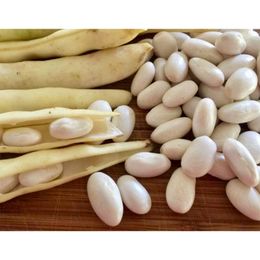 Sebze Meyve Dünyası 1 kg Badala Barbunya