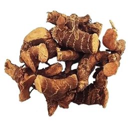 Sebze Meyve Dünyası 100 gr Kök Havlıcan