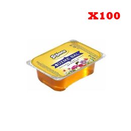 Seğmen 100x15 gr Piknik Bal