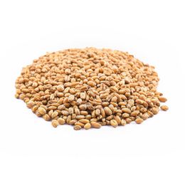 Şekeroğlu 500 gr Kavrulmuş Buğday