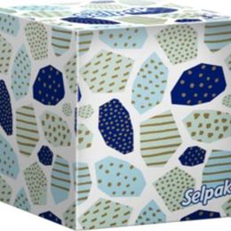 Selpak 48 Professional Butik Kutu Mendil
