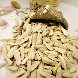 Sıddık Kırmacı 1 kg Beyaz Ay Çekirdeği