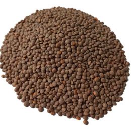 Siirt Pazar 1 kg Kabuklu Mercimek Edesiye