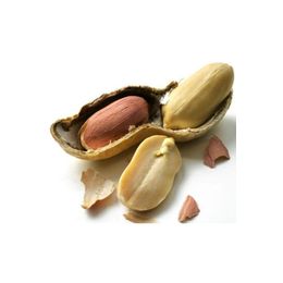 Silifke Market 500 gr İç Yer Fıstığı