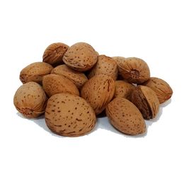 Sincerity Business 500 gr Doğal Kabuklu Badem