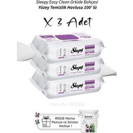 Sleepy Easy Clean 3x100'lü Orkide Bahçesi Yüzey Temizlik Havlusu