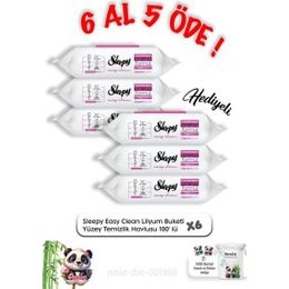 Sleepy Easy Clean 6x100 Lilyum Buketi Yüzey Temizlik Havlusu