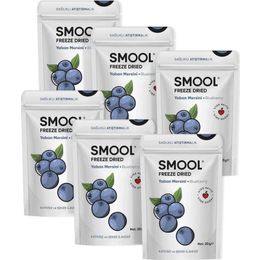Smool 6x20 gr Dondurularak Kurutulmuş Yaban Mersini