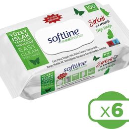 Softline 6x100'lü Fresher Yüzey Islak Temizlik Havlusu