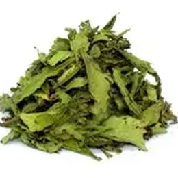 Stevia Şeker Otu 50 gr